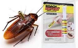 Roach Doctor Cockroach Gel – Fast-Acting Indoor & Outdoor Pest Control
