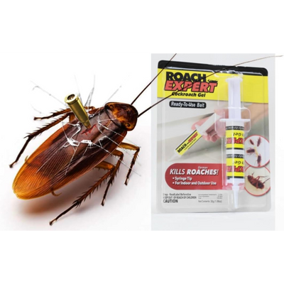 Roach Doctor Cockroach Gel – Fast-Acting Indoor & Outdoor Pest Control