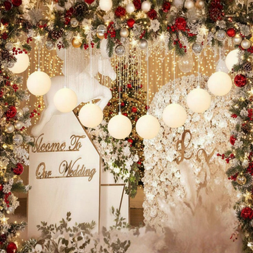 USB Powered 10-LED Berry Ball Fairy Lights – 1 Meter Length – Versatile Indoor Accent Lighting